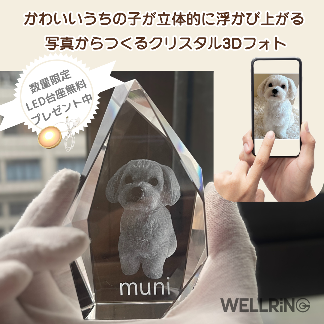 大切な写真を形に残す クリスタル3Dフォト〈ダイヤモンド型〉記念ギフトに最適