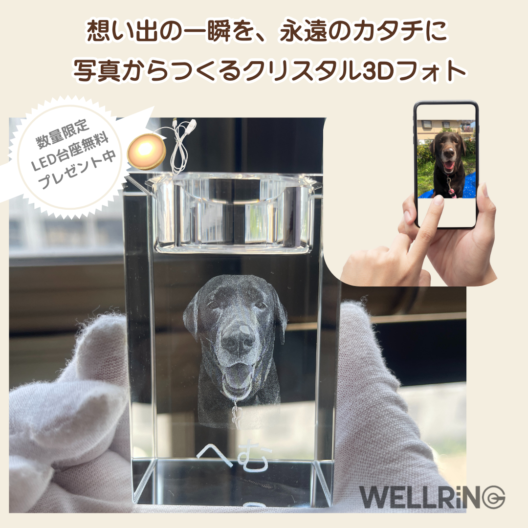 大切な写真を形に残す クリスタル3Dフォト〈キャンドル型〉お仏壇や思い出コーナーに最適