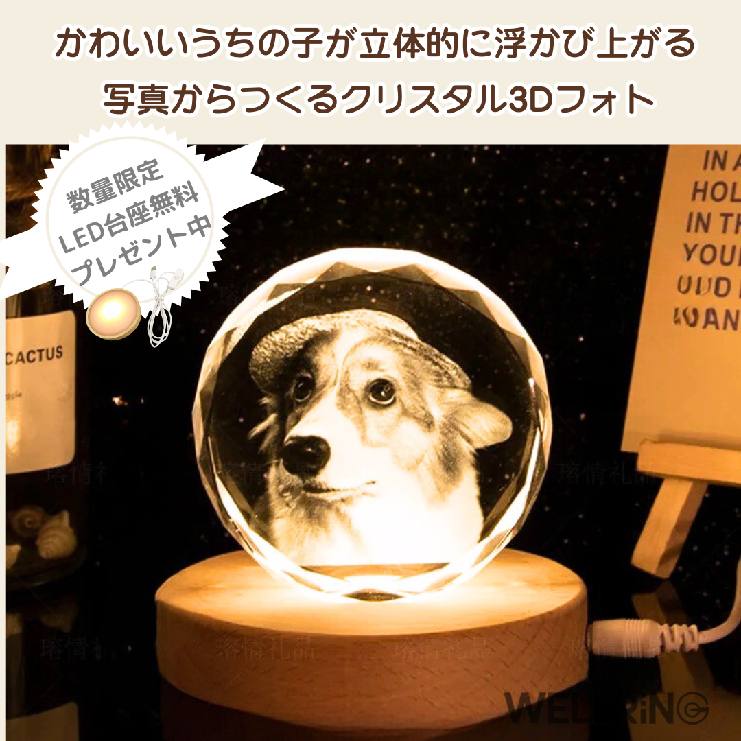 写真から作る 3Dクリスタルフォト 丸型|ペット供養・記念日ギフトにおすすめ