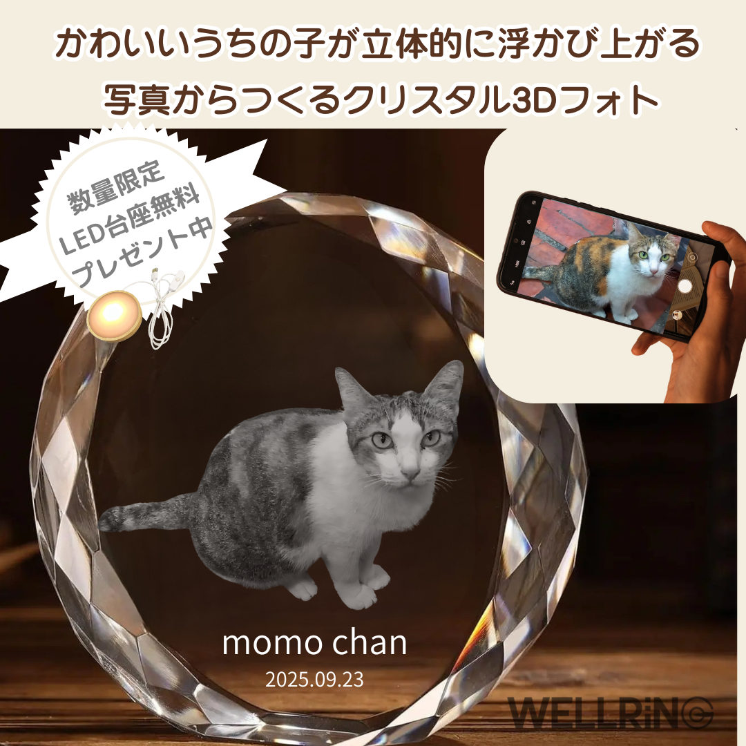 写真を3Dレーザー立体彫刻 丸型クリスタルフォト｜癒しと想い出を形に