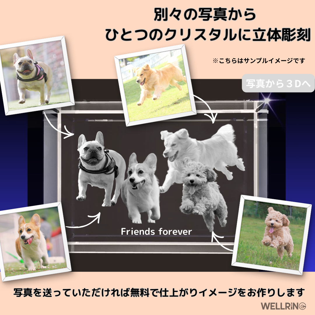 写真から作る3Dクリスタルフォト 直方体｜シャープで洗練された記念