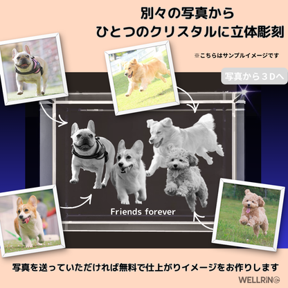 写真から作る3Dクリスタルフォト 直方体｜シャープで洗練された記念ギフト　最大6人まで彫刻可能