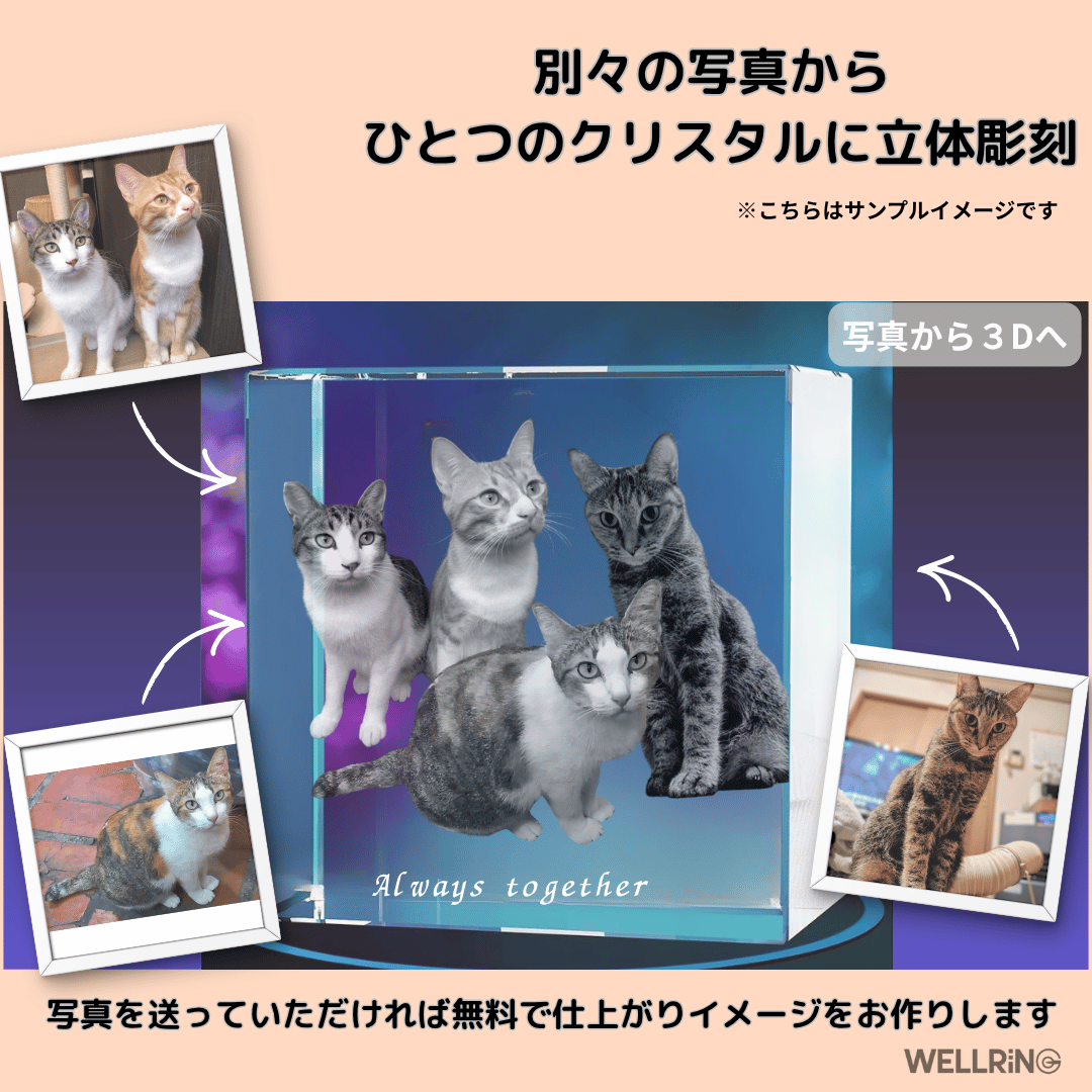 写真から作る3Dクリスタルフォト ワイドスクエア型｜安定感のあるやさしい記念ギフト　最大6名まで対応可能