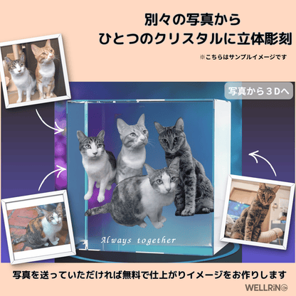 写真から作る3Dクリスタルフォト ワイドスクエア型｜安定感のあるやさしい記念ギフト　最大6名まで対応可能