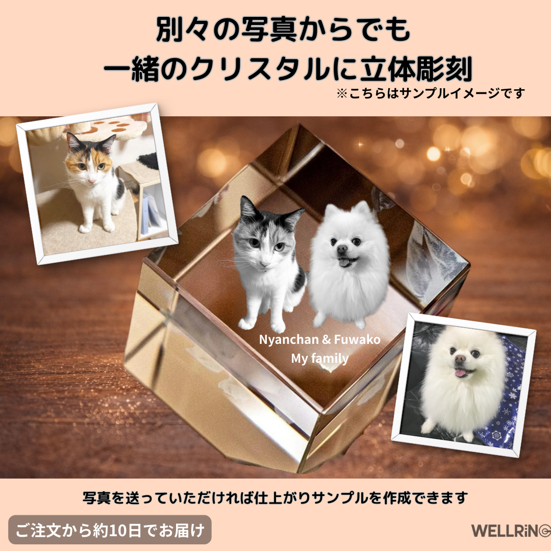 写真から作る3Dクリスタルフォト スクエア｜大切な想い出を飾る記念