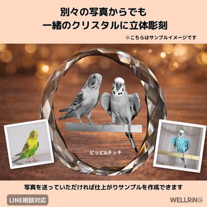 写真を3Dレーザー立体彫刻 丸型クリスタルフォト｜癒しと想い出を形に