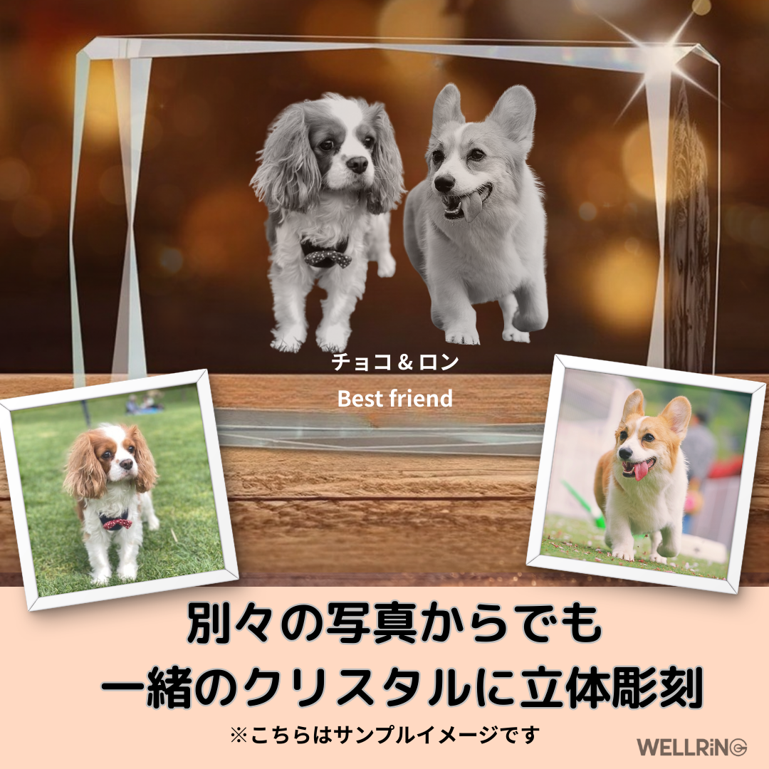 写真から作る3Dクリスタルフォト 多面カット直方体｜輝きで魅せる特別な記念ギフト