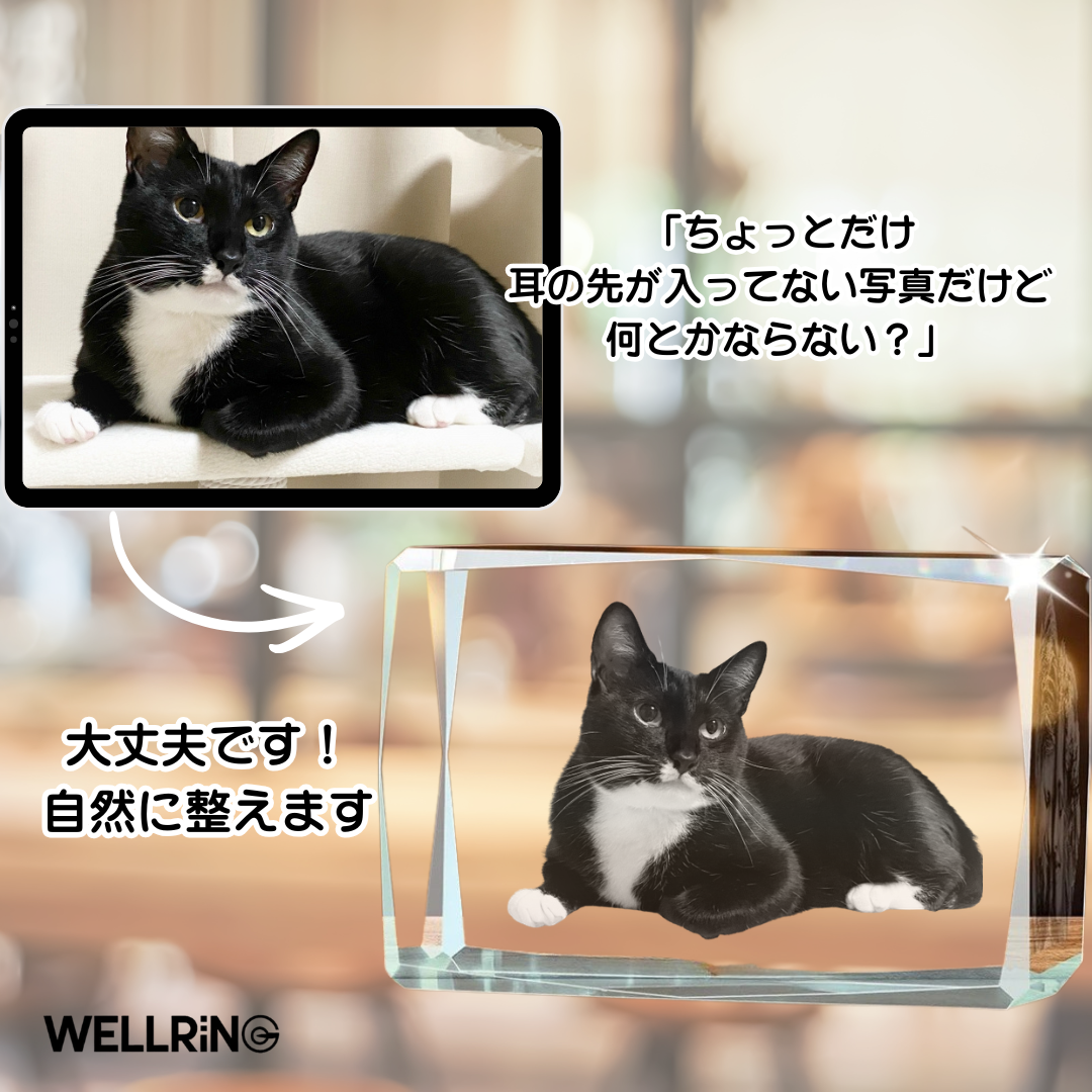 写真から作る3Dクリスタルフォト 多面カット直方体｜輝きで魅せる特別な記念ギフト