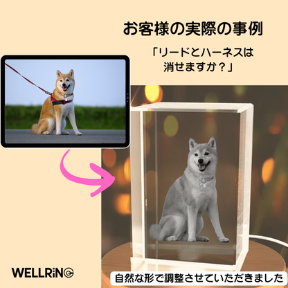 写真から作る3Dクリスタルフォト 直方体｜シャープで洗練された記念ギフト　最大6人まで彫刻可能