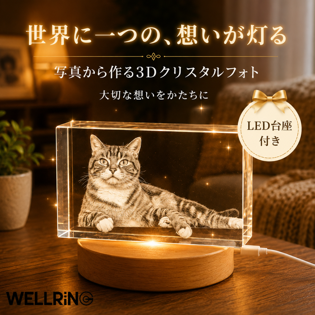 写真から作る3Dクリスタルフォト 直方体｜シャープで洗練された記念ギフト　最大6人まで彫刻可能