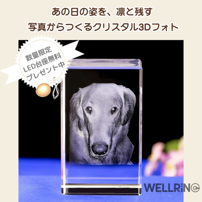 写真から作る3Dクリスタルフォト 直方体｜シャープで洗練された記念ギフト　最大6人まで彫刻可能