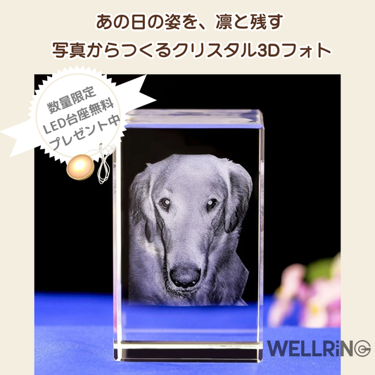写真から作る3Dクリスタルフォト 直方体｜シャープで洗練された記念ギフト　最大6人まで彫刻可能