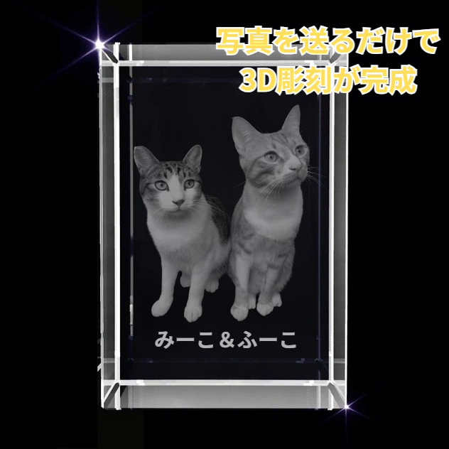 写真から作る3Dクリスタルフォト 直方体｜シャープで洗練された記念ギフト　最大6人まで彫刻可能