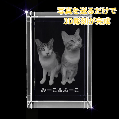 写真から作る3Dクリスタルフォト 直方体｜シャープで洗練された記念ギフト　最大6人まで彫刻可能