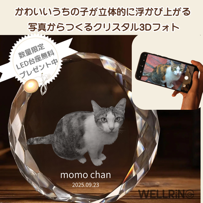 写真から作る 3Dクリスタルフォト 丸型｜ペット供養・記念日ギフトにおすすめ