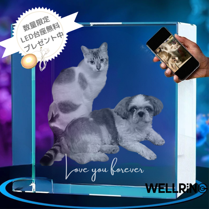 写真から作る3Dクリスタルフォト ワイドスクエア型｜安定感のあるやさしい記念ギフト　最大6名まで対応可能